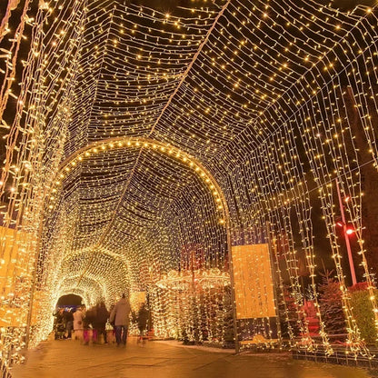 Led Kerstboom verlichting buiten 10M/20M – Waterdichte sfeerverlichting voor feest en tuin